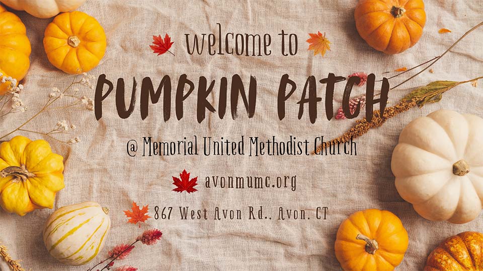 pumpkin-patch